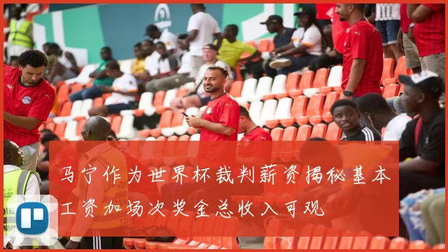 马宁作为世界杯裁判薪资揭秘基本工资加场次奖金总收入可观